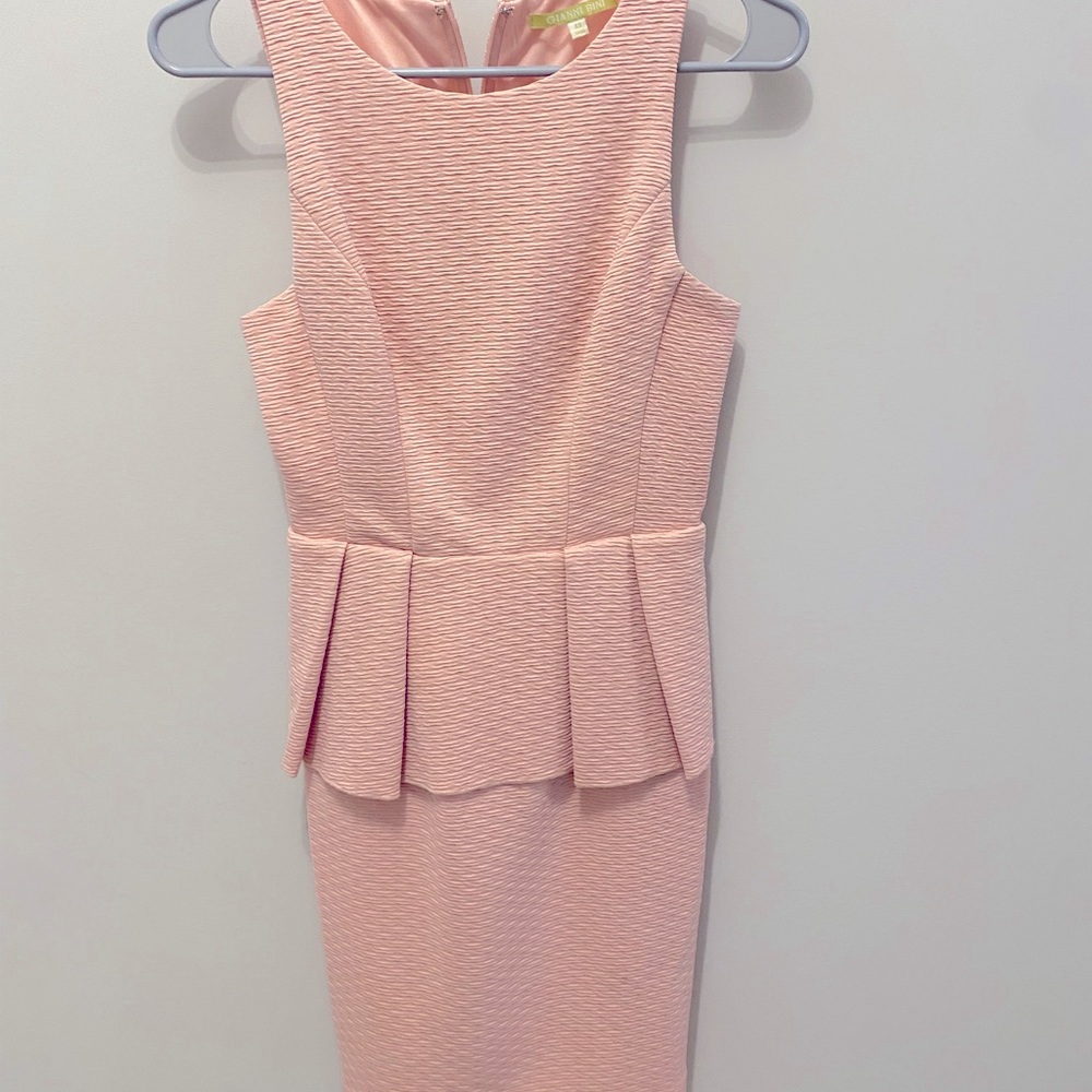 Gianna Bini Form Fitting Dress